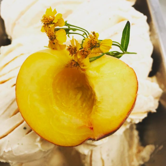 Peachy tarragon is B A C Kislandgelatocompany waihekeisland ferrybuilding waihekeislandhellip