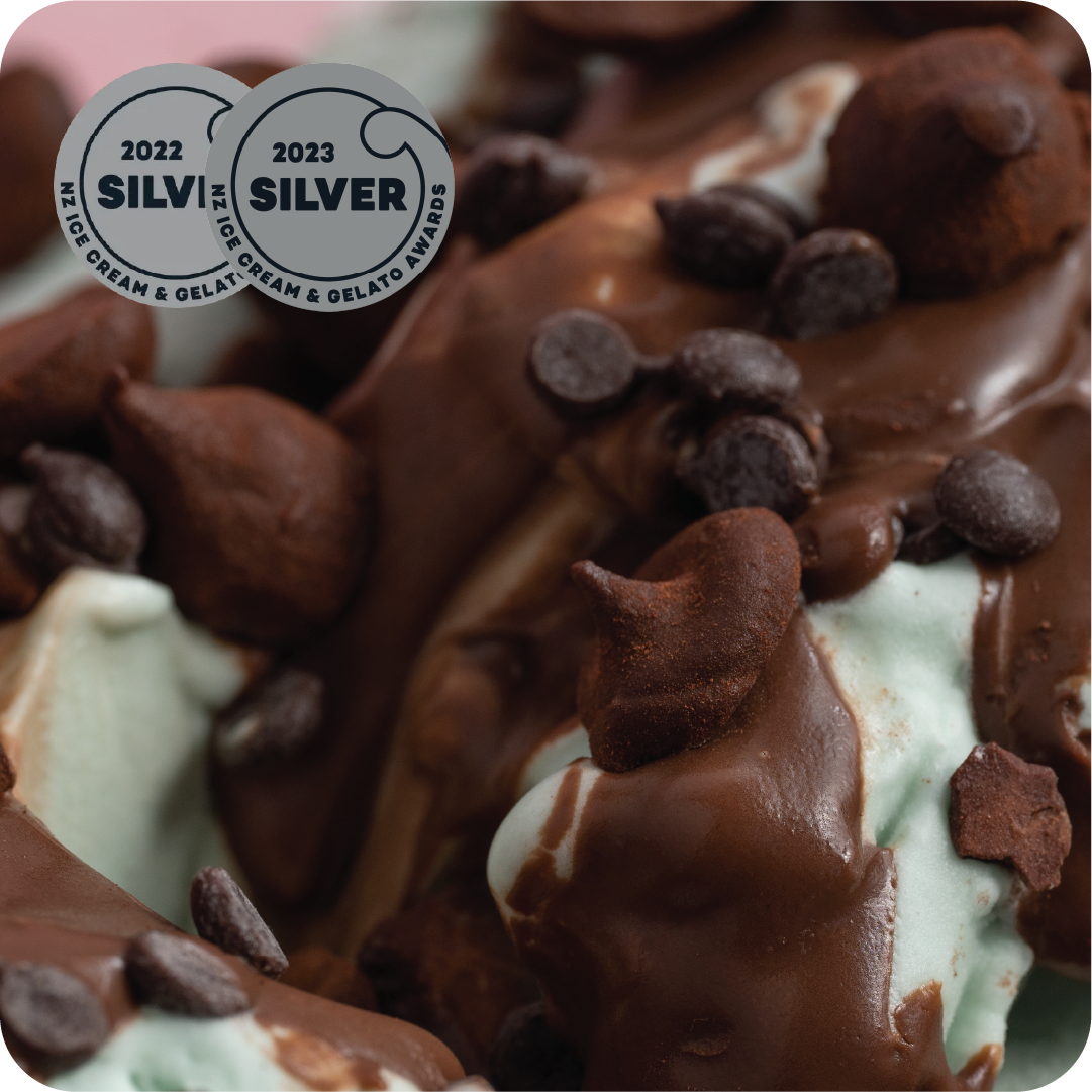 VEGAN MINT CHOCOLATE TRUFFLE-V SILVER NZ IA 22