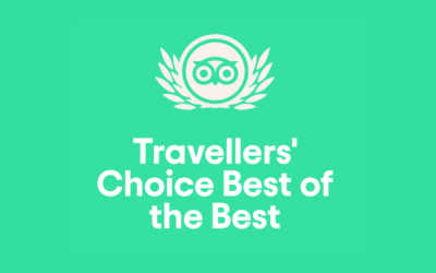 Tripadvisor Travellers’ Choice 2020 Winner.